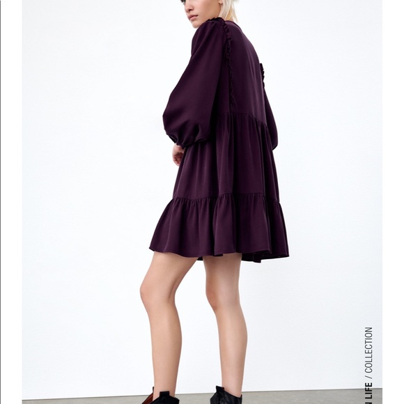 Zara Pleated Dress - Picture 4 of 10